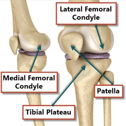 Medial Condyle Knee Injuries and Disorders