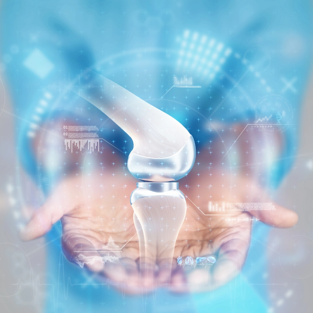 Top active knee joint manufacturers overview