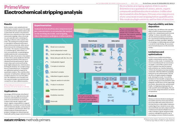Electrochemical Stripping Process Guide