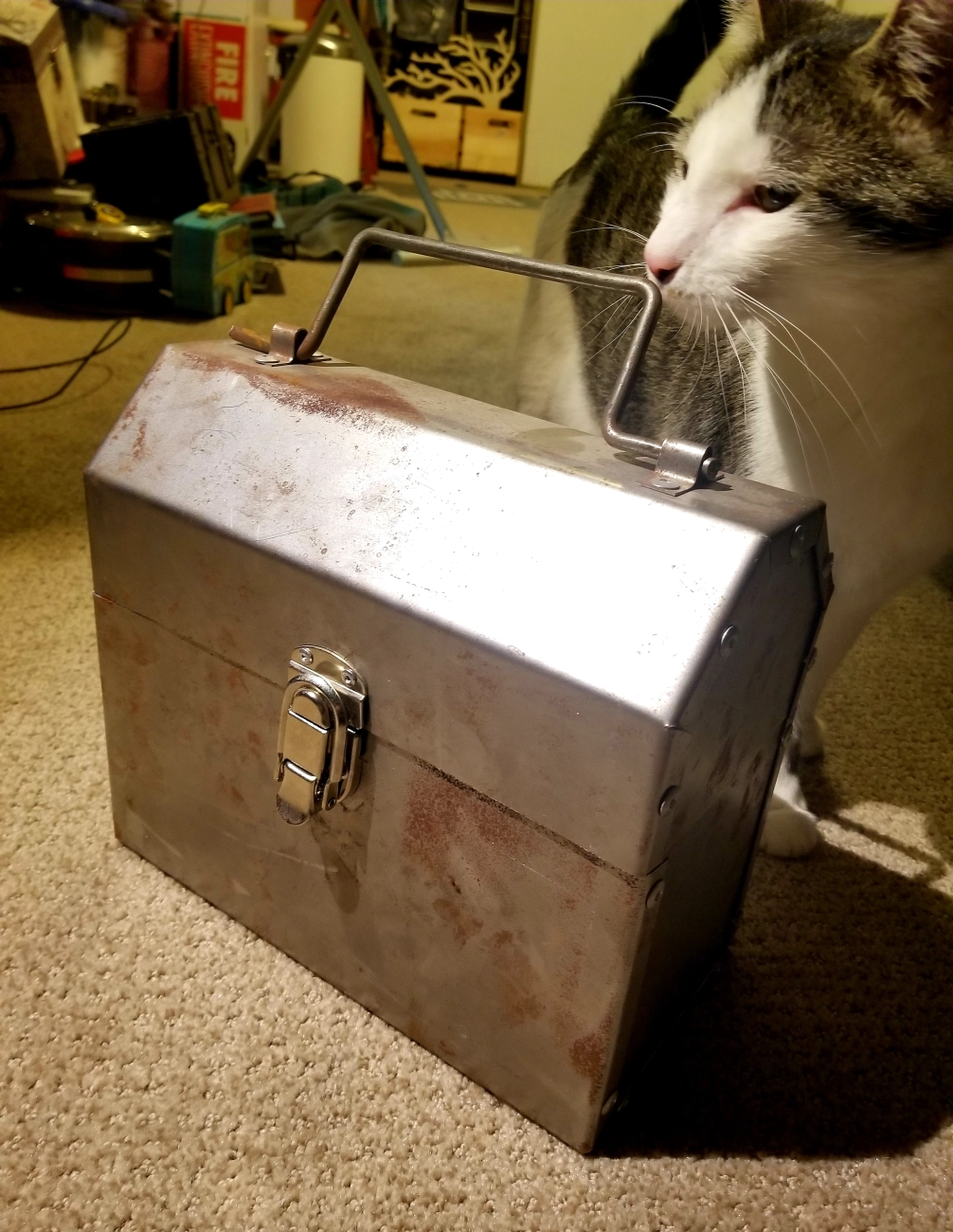 Factores de coloración del metal y resolución de problemas