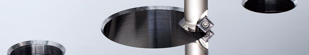 Fasen-Technikführer und Tipps