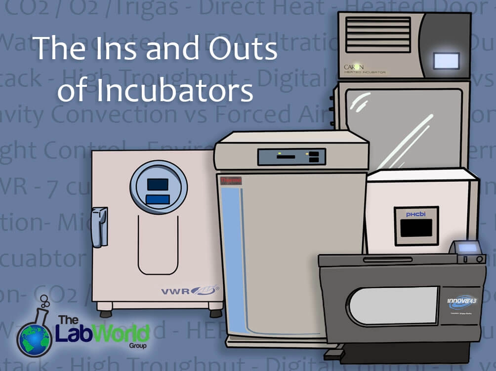 Incubator vs Environmental Chamber Guide