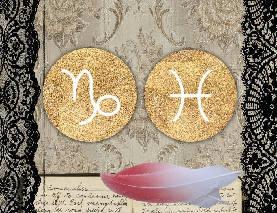 魚座と山羊座の恋愛と生活の相性