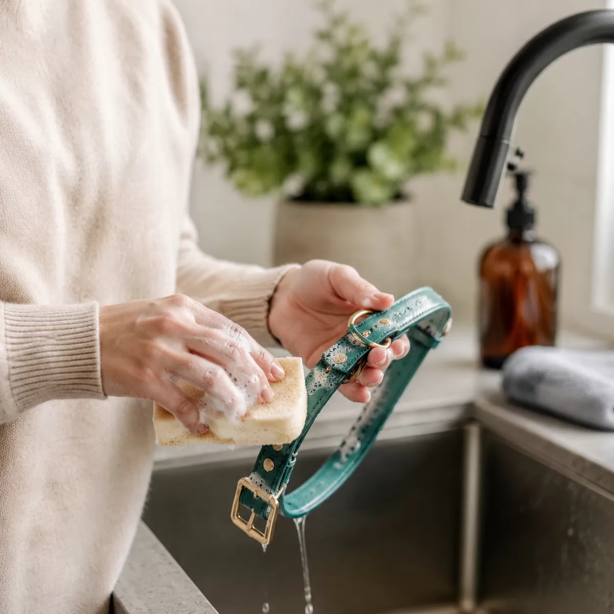 BioThane collar cleaning and maintenance