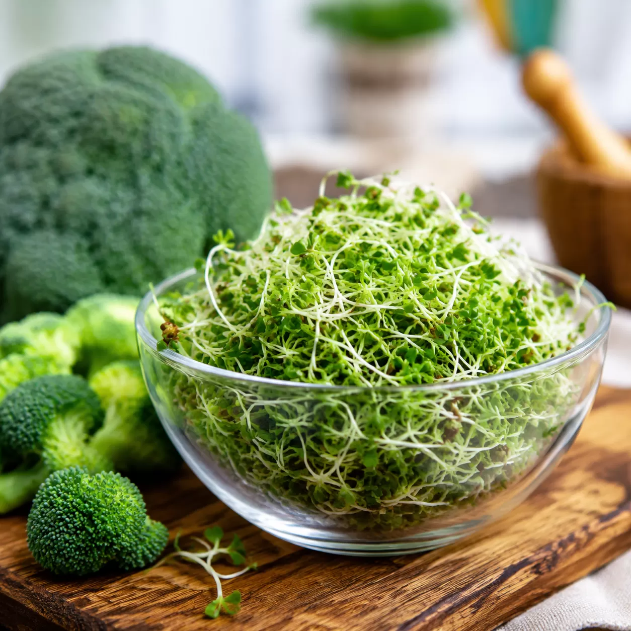 Nutritional Benefits of Broccoli Sprouts