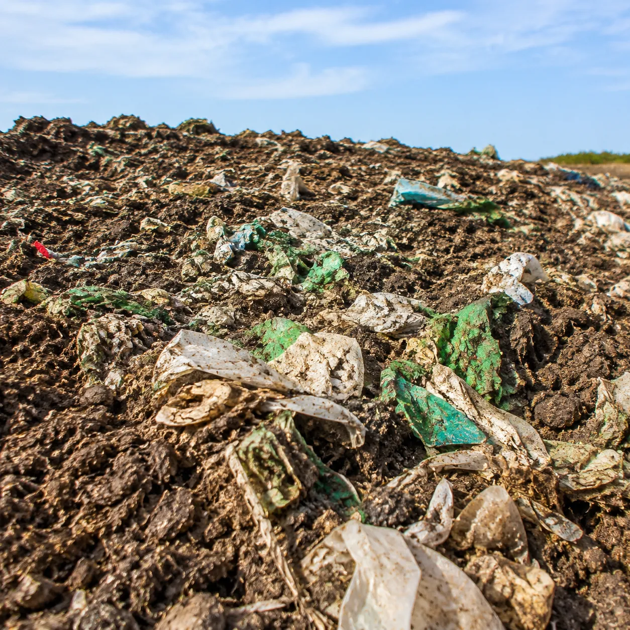 Do Biodegradable Bags Decompose in Landfill 4 "Biodegradable bags landfill decomposition"