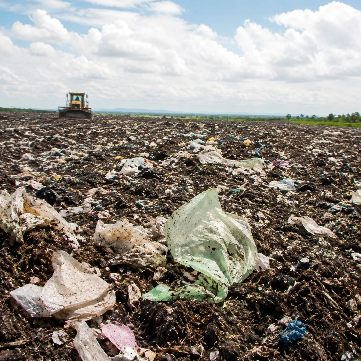 Do Biodegradable Bags Decompose in Landfill 2 Do Biodegradable Bags Decompose in Landfill